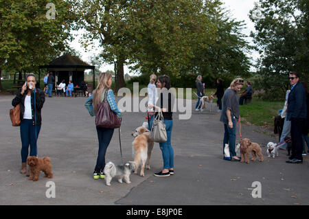 People with dogs, Regent`s Park, London, UK Stock Photo